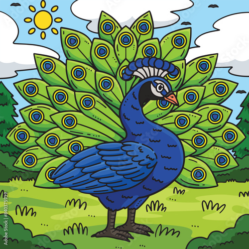 Peacock Bird Colored Cartoon Illustration