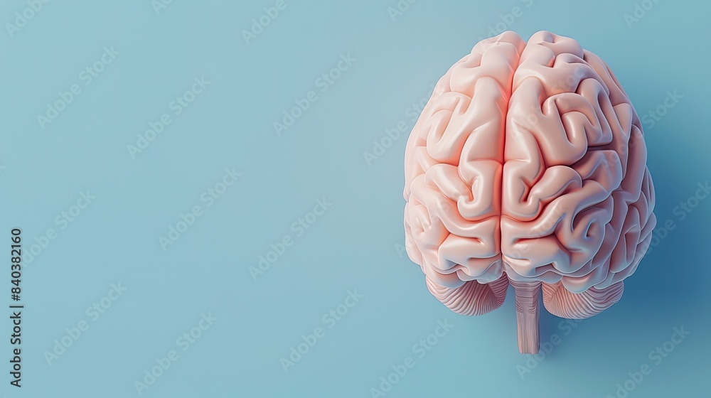 Human brain model on blue background, representing medical science, anatomy, and neurology. Ideal for education, healthcare, and research visuals. Human brain model on blue background, representing medical science, anatomy, and neurology. Ideal for education, healthcare, and research visuals.