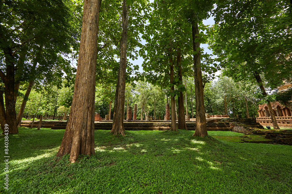 Obraz premium Wat Pa Sak is a Buddhist temple in thailand