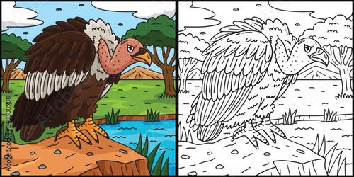 Vulture Bird Coloring Page Colored Illustration