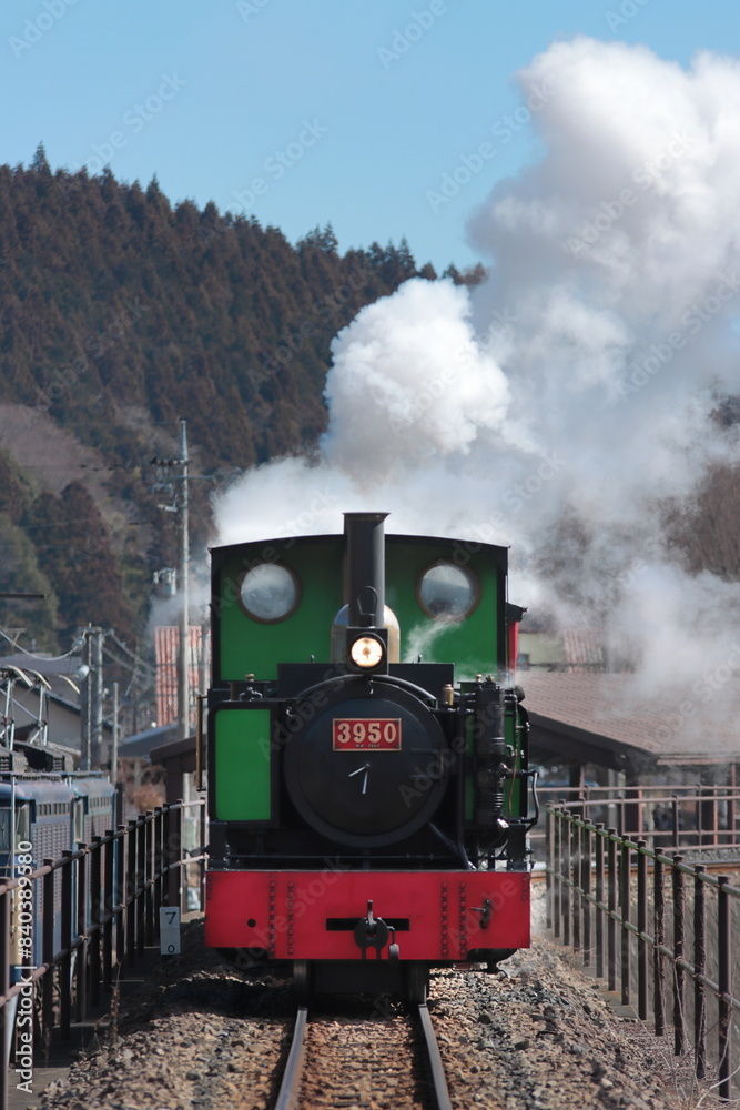 Obraz premium 群馬県碓氷峠鉄道文化むらを走る園内鉄道「アプトくん」_2023/2/25撮影