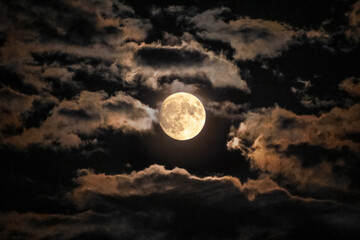 Fototapete Vollmond Klarer Vollmond am Nachthimmel  © Amelia Agnusdei