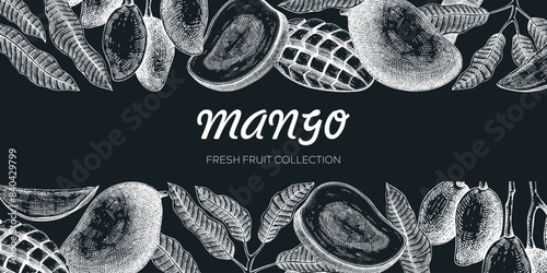 Summer background. Mango fruit sketch on chalkboard, hand-drawn vector illustration. Tropical plant banner, juice packaging, print design. NOT AI generated