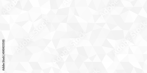 Abstract geometric gray color background, polygon. White gray geometric wallpaper background vector illustration