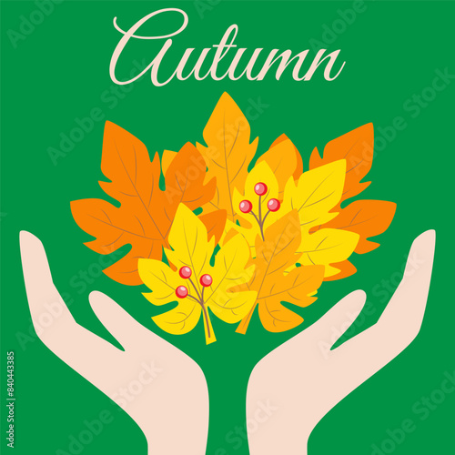 Autumn leaves in hands. Vector illustration. Fall composition with autumn plant elements, twigs and berries. Greeting text design.