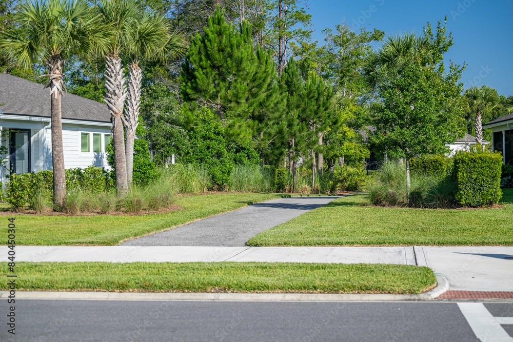 Fototapeta premium community