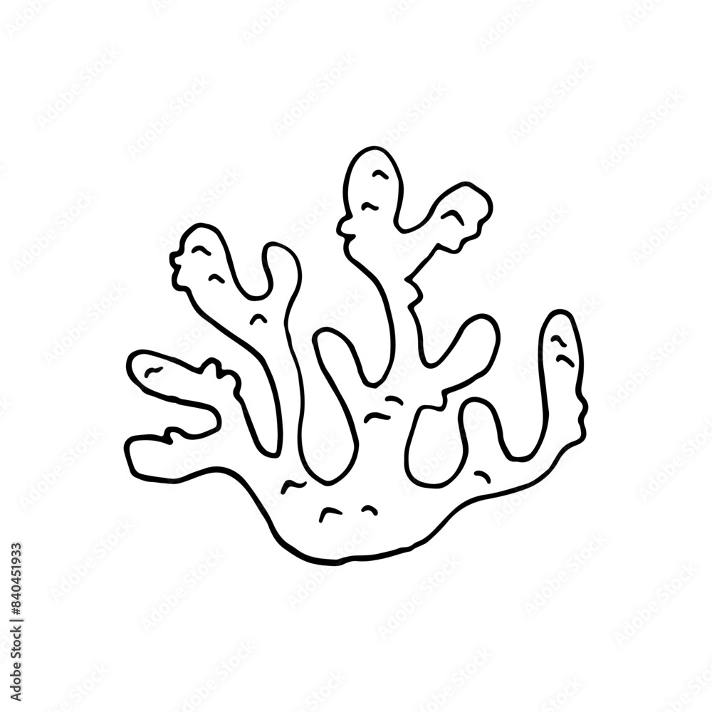 Obraz premium Corals, organic material. Skeleton of tiny sea animals. Doodle. Vector illustration. Hand drawn. Outline.