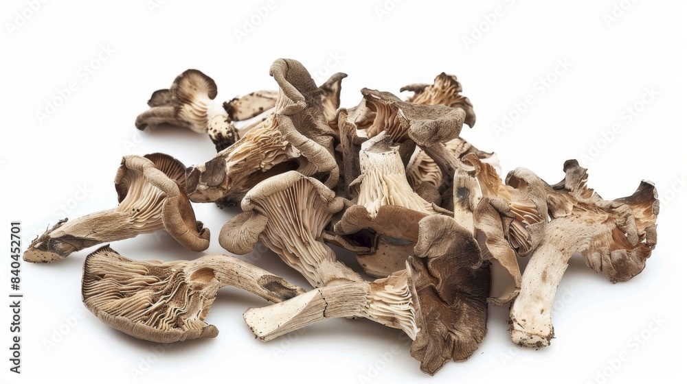 dried poria mushrooms Isolated on white background. cooking ingredients for healthful food concept for designer dried poria mushrooms Isolated on white background. cooking ingredients for healthful food concept for designer