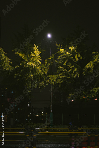 풍경