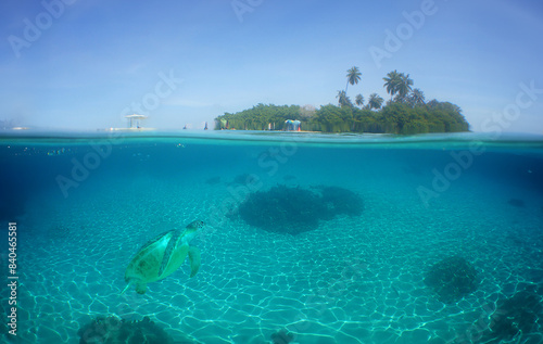 a tropical island in the caribbean sea