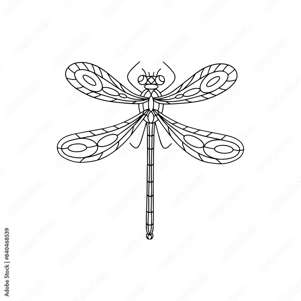 A black and white linear dragonfly. The drawing is very detailed and has a lot of intricate patterns A black and white linear dragonfly. The drawing is very detailed and has a lot of intricate patterns
