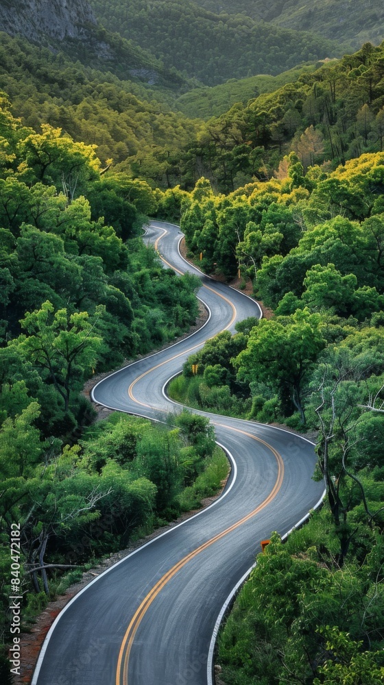 The image shows a winding road through a lush green forest.