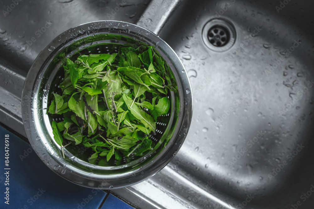Wash the basil leaves. Preparation of food ingredient for cooking. Wash the basil leaves. Preparation of food ingredient for cooking.