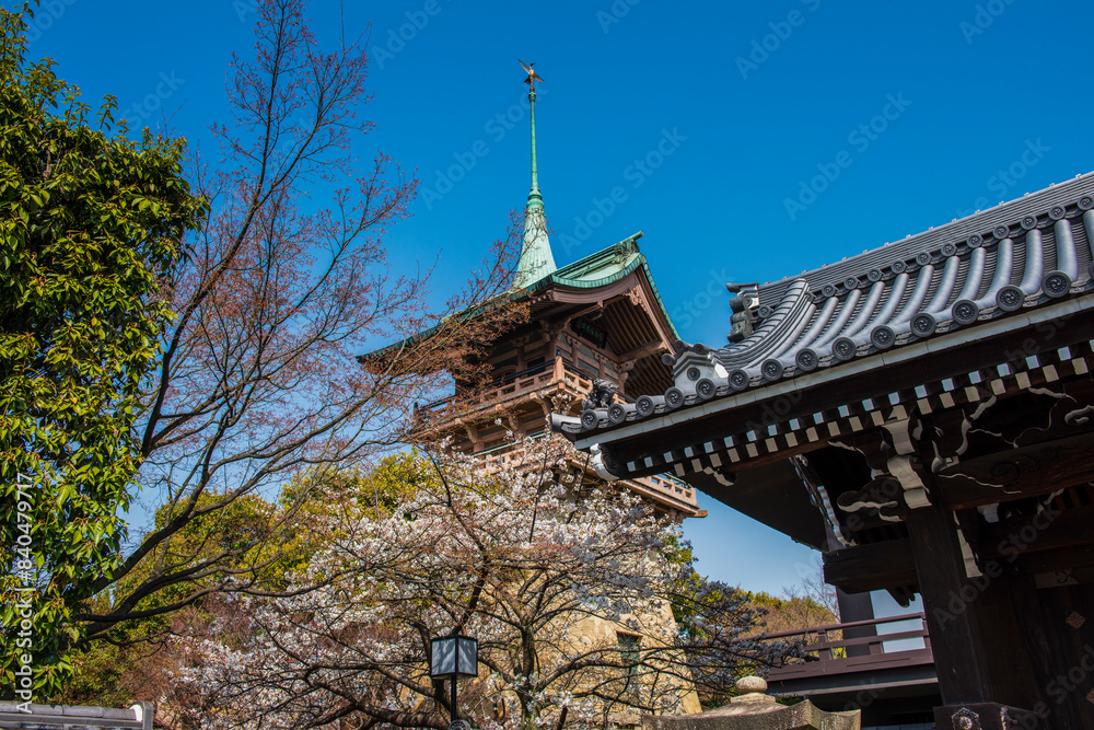 Pagoda in the cherry blossom in the Maruyama-Koen Park, Kyoto, Honshu Pagoda in the cherry blossom in the Maruyama-Koen Park, Kyoto, Honshu