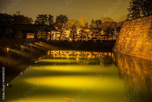 Nightly illuminated Kyoto Imperial Palace during cherry blossom, Kyoto,Honshu