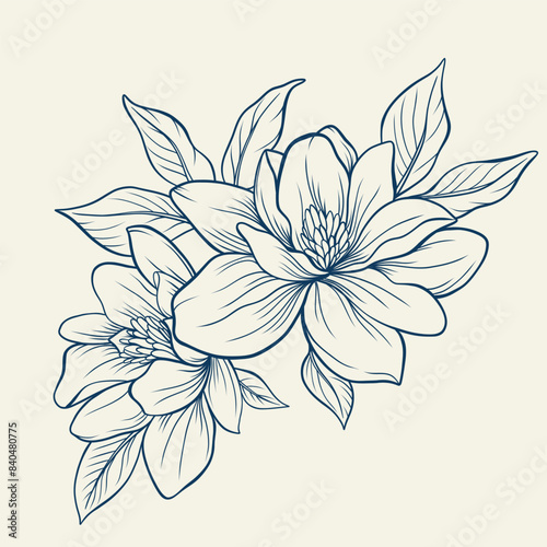 Magnolia flowers drawing with line-art