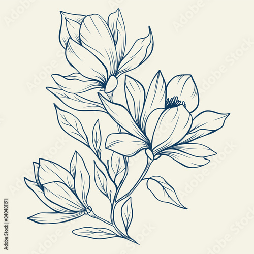 Magnolia flowers drawing with line-art