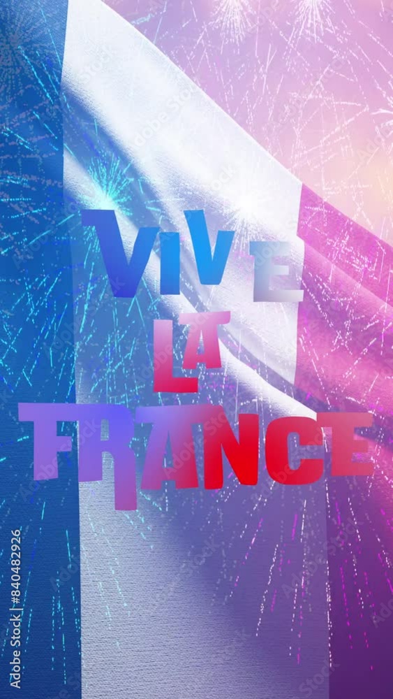 vertical video French Flag Waving with Vive la France Text on Bastille Day