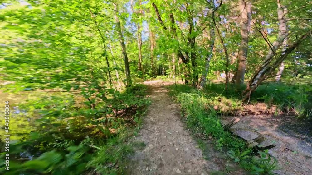 Biking through a forest amidst a stunning landscape of trees and dappled sunlight. The idea of outdoor relaxation and appreciating the forest views. Biking through a forest amidst a stunning landscape of trees and dappled sunlight. The idea of outdoor relaxation and appreciating the forest views.