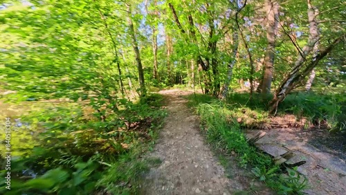 Biking through a forest amidst a stunning landscape of trees and dappled sunlight. The idea of outdoor relaxation and appreciating the forest views.