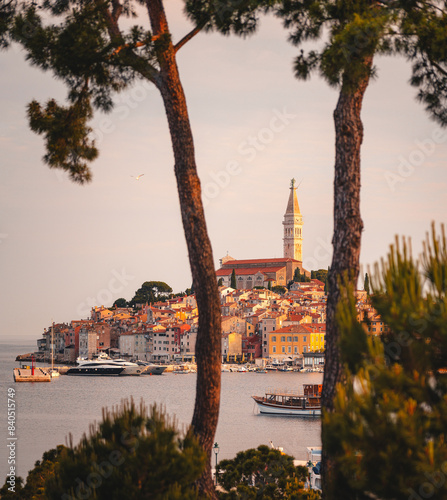 View on the old town of Rov...