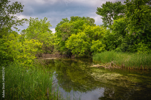 Sioux Falls Nature Conservation Area at Sertoma Park: The Vibrant Greenway Walking Trails Summer Landscape along the Big Sioux River in South Dakota