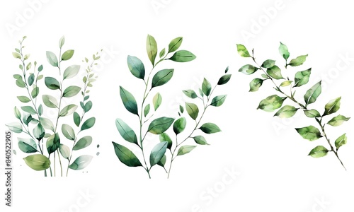 Set of watercolor green leaf isolated on white background 