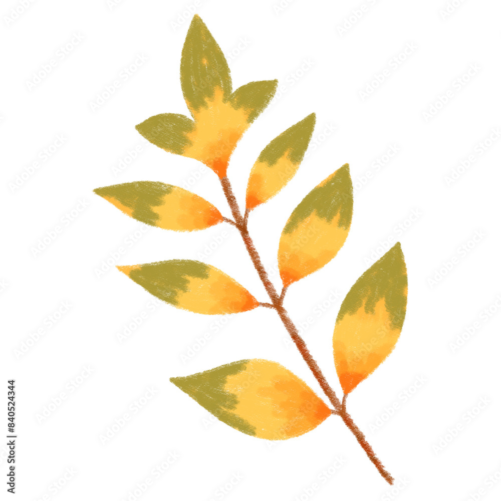 Cute autumn green yellow leaf