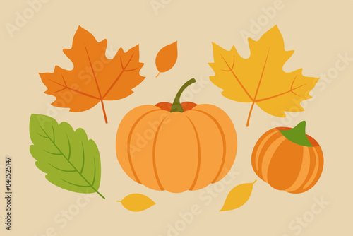 pumpkin vector illustration