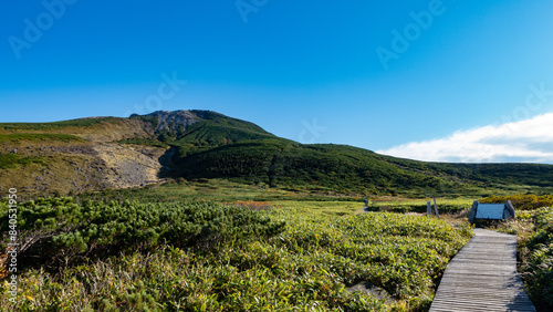 白山の弥陀ヶ原