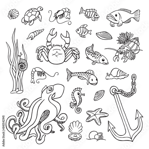 Hand drawn sea animals. Doodle icons set. Black and white outline vector illustration.