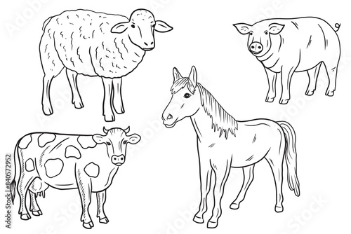 Set of domestic animals - cow  sheep  horse  pig standing isolated on white background. Hand drawn vector sketch illustration in doodle engraved line art style. Concept of farm  village.