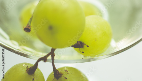 Martini cocktail with green grapes. Close up macro shot photo