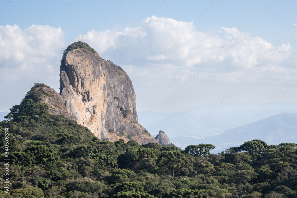 Naklejka premium Altitude rainforest at southeastern Brazil