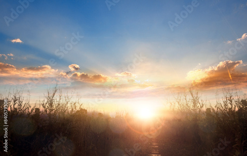 meadow autumn sunrise landscape background
