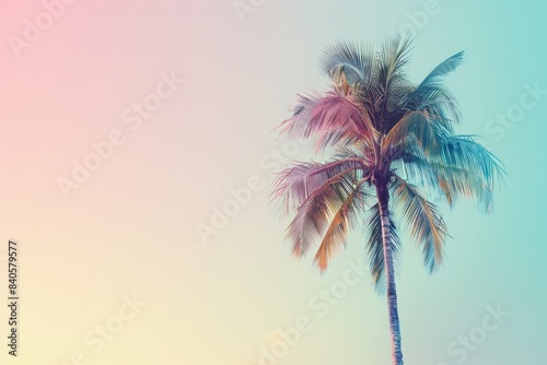 Minimalist green palm tree against colorful sky white background close up surreal composite summer theme