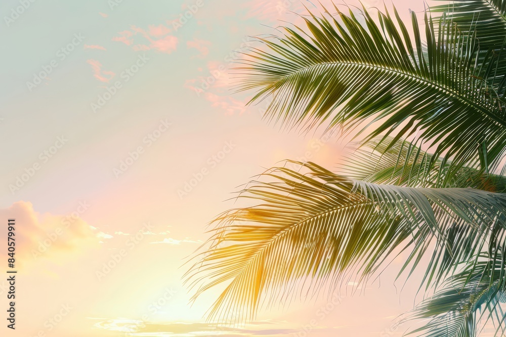 Obraz premium Green palm tree minimalist colorful sky white background selective focus vibrant blend mode sunset theme