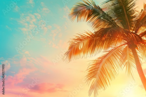 Green palm tree minimalist colorful sky white background selective focus vibrant blend mode sunset theme