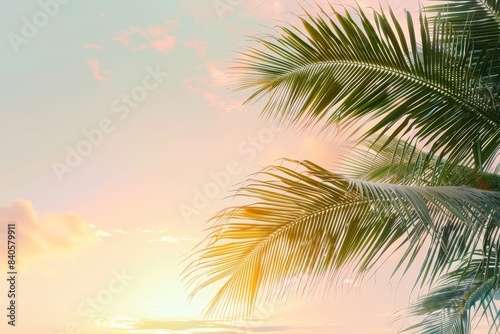 Green palm tree minimalist colorful sky white background selective focus vibrant blend mode sunset theme