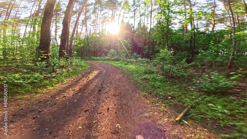 Riding a bicycle through a lush forest with sunlight peeking through the trees. Concept of outdoor relaxation and admiring nature.