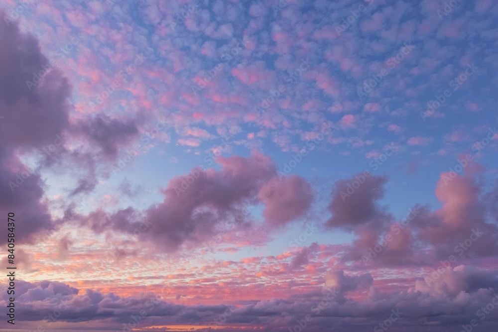 Obraz premium Pink fluffy clouds in sun light on the sky. Cloudy heaven at sunset. Santa Cruz de Tenerife, Spain. Purple clouds on a background of blue sky at sunset