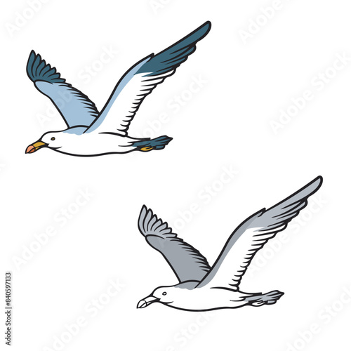 seagull drawing with line art style. simple design outline style. you can change color you want. easy to edit. vector illustrations