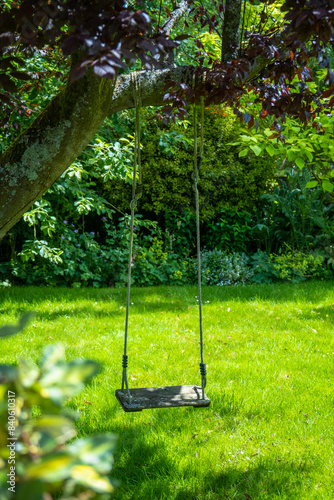 swing in the garden