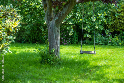 Wooden swing hanging from an old tree with green grass in the summertime
