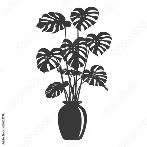 Monstera Deliciosa Silhouette: Dramatic Houseplant in Vase.