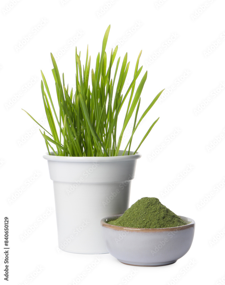 Fresh wheat grass in pot and bowl of green powder isolated on white Fresh wheat grass in pot and bowl of green powder isolated on white