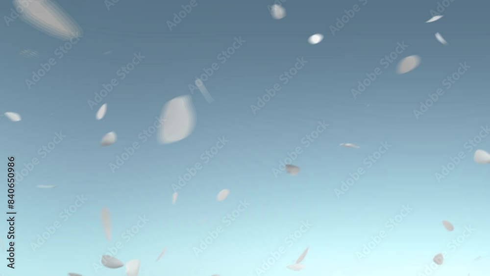 Flying petals in the sky Flying petals in the sky