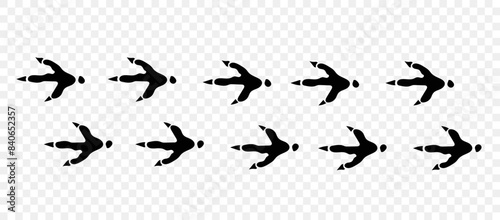 Ostrich paws. Footpath trail of animals. Paw foot trail print of ostrich on white background. Vector animal steps in black color.