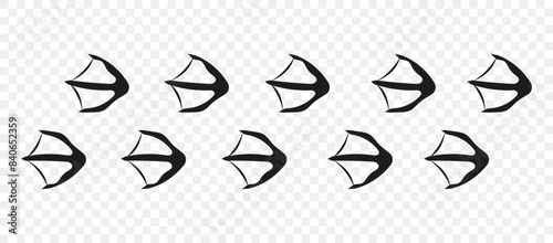 Swan paws. Footpath trail of animals. Paw foot trail print of swan  on white background. Vector animal steps in black color.