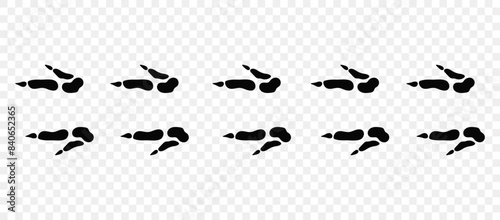 Kangaroo paws. Footpath trail of animals. Paw foot trail print of kangaroo on white background. Vector animal steps in black color.